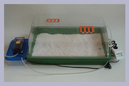 Mushroom Professional Grow Kit