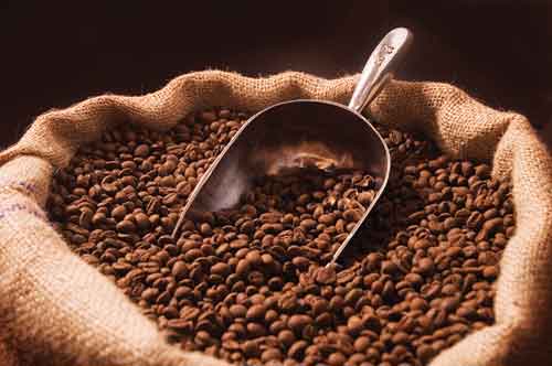 Organic Reishi Coffee