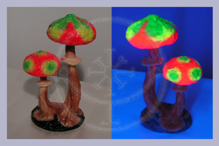 Mushroom Gifts
