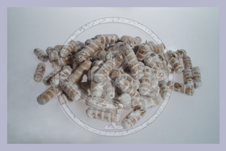 3 x 100 pcs Spawn Dowels SPECIAL OFFER