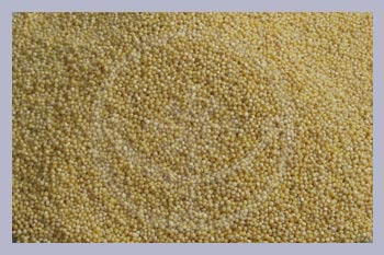 Organic Millet Seeds 500 g