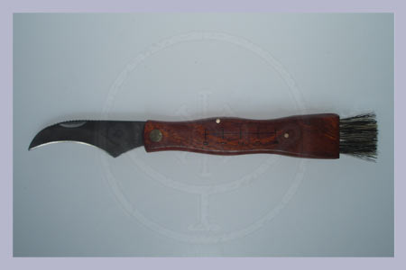Mushroom knife with brush