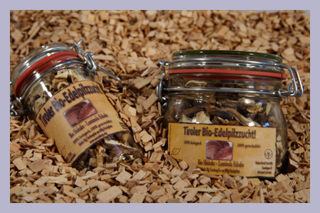 Shiitake Lentinula Edodes Organic dried 25g