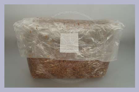 Straw-Millet Substrate bag 4,5 l