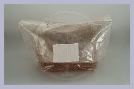 Straw-Millet Substrate bag  2,5 l