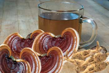 Vital Mushroom Tea