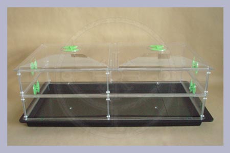 Mushroom Mega Growkit without heating