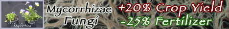 Mycorrhizae